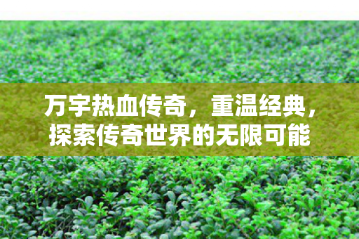 探索传奇世界的无限可能图片