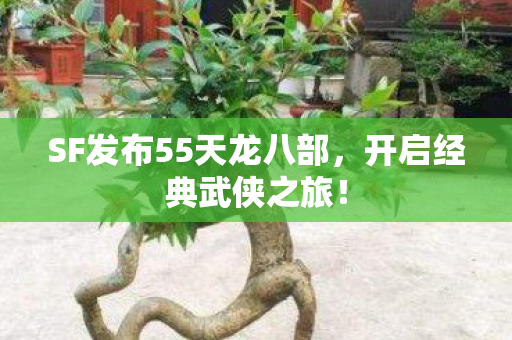 SF发布55天龙八部,开启经典武侠之旅! SF发布55天龙八部,开启经典武侠之旅!