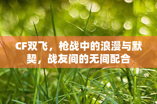 CF双飞,枪战中的浪漫与默契,战友间的无间配合 CF双飞,枪战中的浪漫与默契,战友间的无间配合