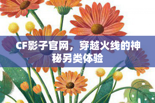 CF影子官网,穿越火线的神秘另类体验 CF影子官网,穿越火线的神秘另类体验