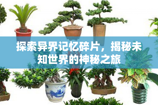 揭秘未知世界的神秘之旅图片