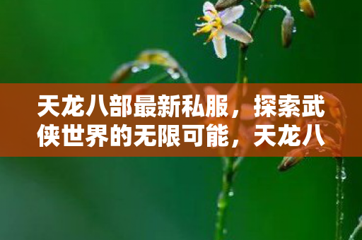 探索武侠世界的无限可能图片