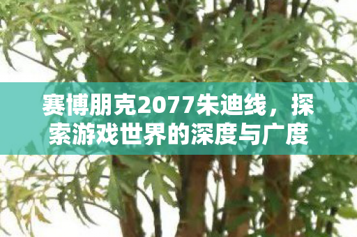 赛博朋克2077朱迪线,探索游戏世界的深度与广度 赛博朋克2077朱迪线,探索游戏世界的深度与广度