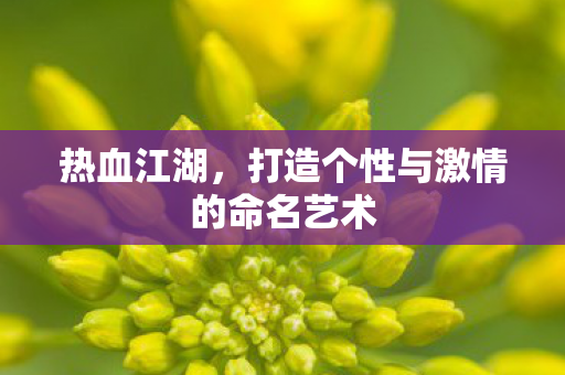 打造个性与激情的命名艺术图片
