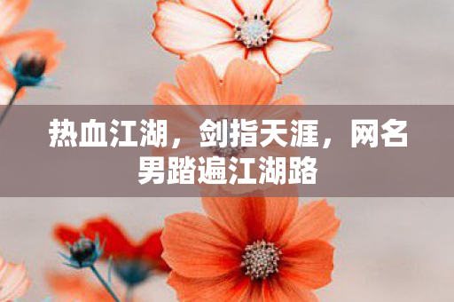网名男踏遍江湖路图片