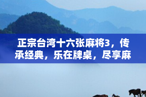 正宗台湾十六张麻将3,传承经典,乐在牌桌,尽享麻将乐趣! 正宗台湾十六张麻将3,传承经典,乐在牌桌,尽享麻将乐趣!