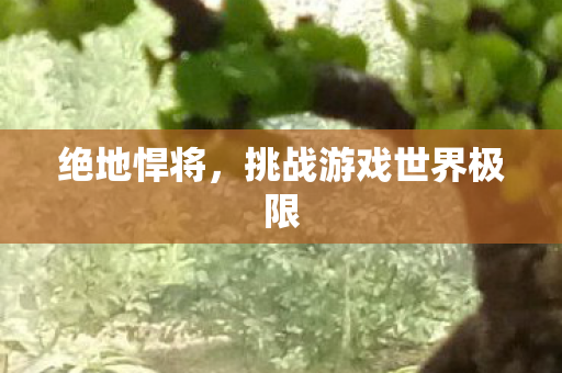 绝地悍将,挑战游戏世界极限 绝地悍将,挑战游戏世界极限