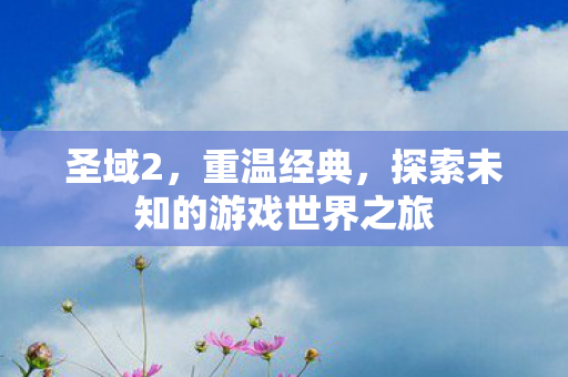圣域2,重温经典,探索未知的游戏世界之旅 圣域2,重温经典,探索未知的游戏世界之旅