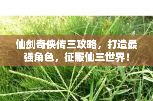 仙剑奇侠传三攻略,打造最强角色,征服仙三世界! 仙剑奇侠传三攻略,打造最强角色,征服仙三世界!