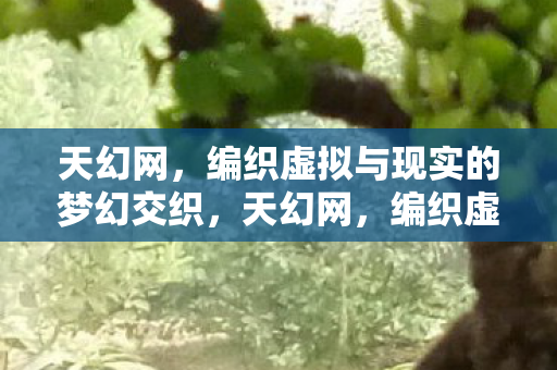 编织虚拟与现实的梦幻交织图片