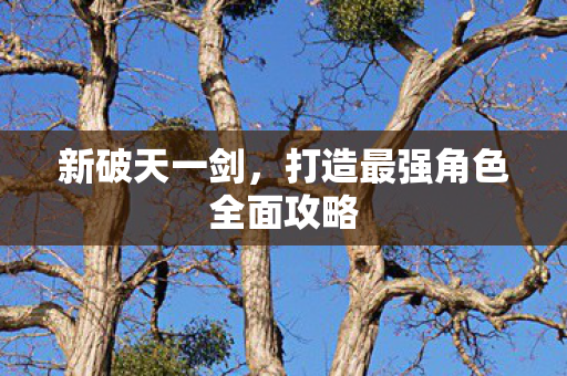 打造最强角色全面攻略图片