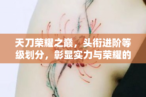 彰显实力与荣耀的象征图片