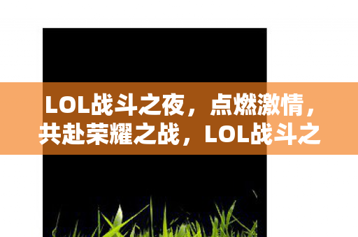 LOL战斗之夜图片