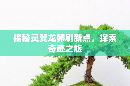 揭秘灵翼龙卵刷新点图片