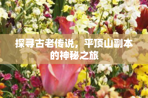 平顶山副本的神秘之旅图片