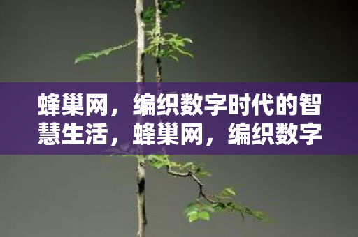 编织数字时代的智慧生活图片