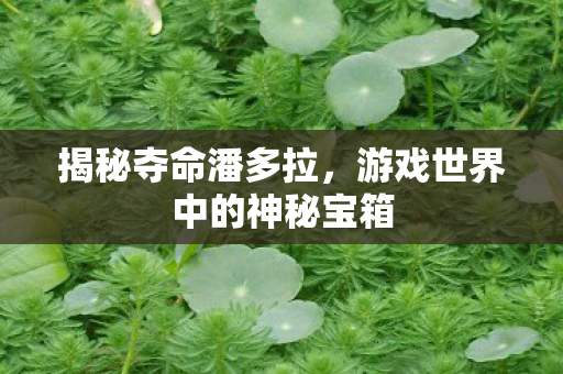 游戏世界中的神秘宝箱图片