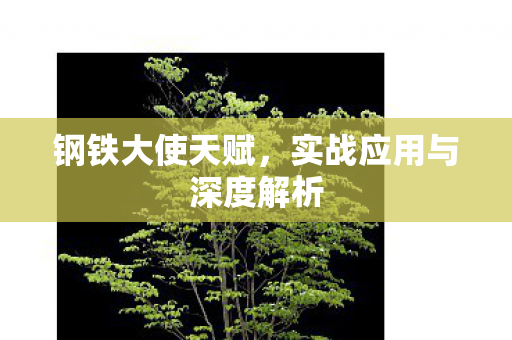 实战应用与深度解析图片