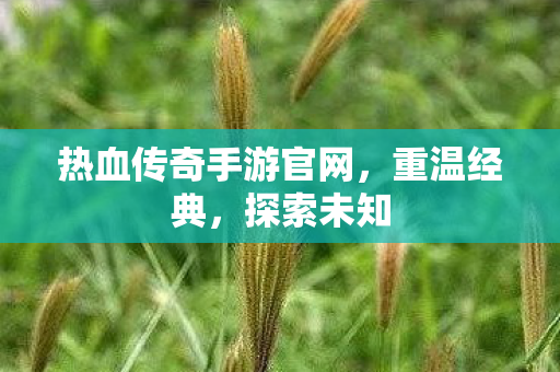 热血传奇手游官网图片