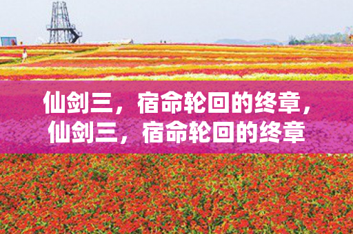 宿命轮回的终章图片