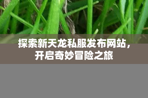 探索新天龙私服发布网站,开启奇妙冒险之旅 探索新天龙私服发布网站,开启奇妙冒险之旅