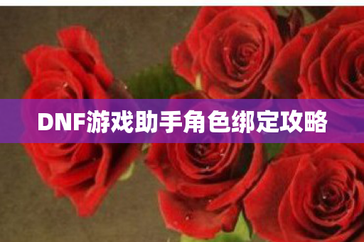 DNF游戏助手角色绑定攻略图片