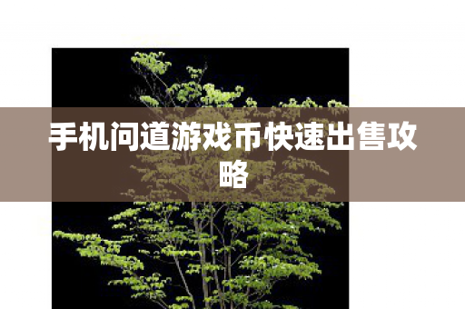 手机问道游戏币快速出售攻略 手机问道游戏币快速出售攻略