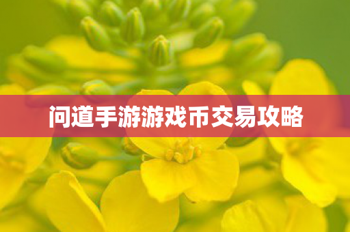 问道手游游戏币交易攻略 问道手游游戏币交易攻略