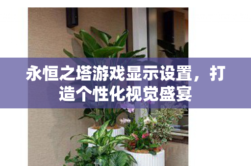 永恒之塔游戏显示设置图片