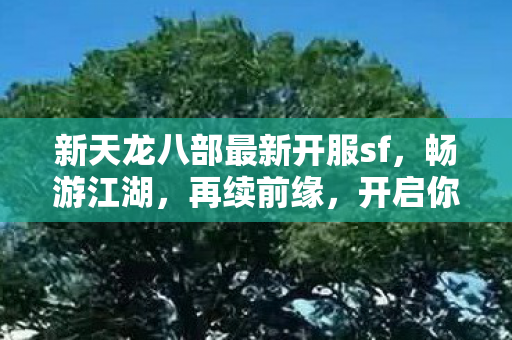 新天龙八部最新开服sf,畅游江湖,再续前缘,开启你的武侠之旅! 新天龙八部最新开服sf,畅游江湖,再续前缘,开启你的武侠之旅!