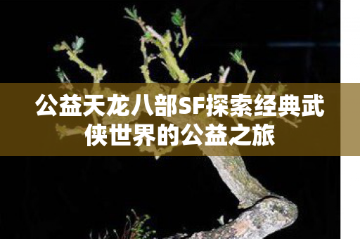 公益天龙八部SF探索经典武侠世界的公益之旅 公益天龙八部SF探索经典武侠世界的公益之旅