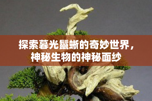 探索暮光鬣蜥的奇妙世界，神秘生物的神秘面纱