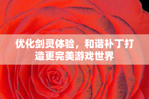 优化剑灵体验,和谐补丁打造更完美游戏世界 优化剑灵体验,和谐补丁打造更完美游戏世界