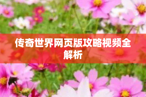 传奇世界网页版攻略视频全解析图片