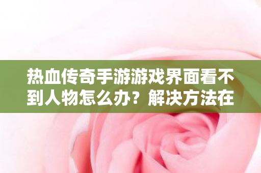 热血传奇手游游戏界面看不到人物怎么办图片