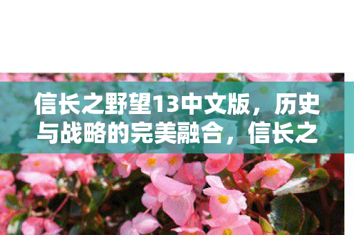 信长之野望13中文版图片