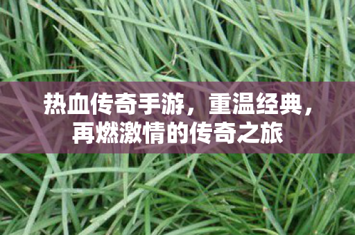 再燃激情的传奇之旅图片