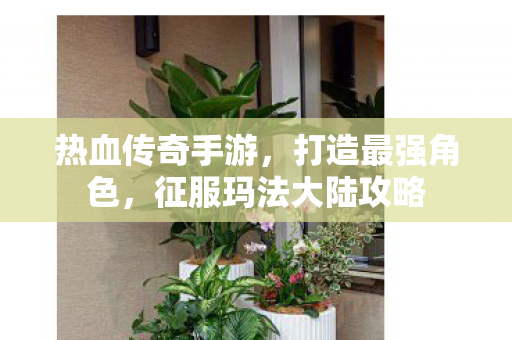 征服玛法大陆攻略图片