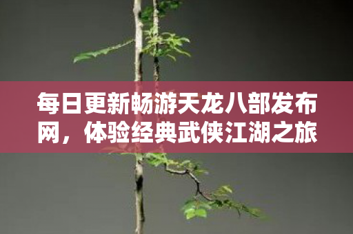 每日更新畅游天龙八部发布网,体验经典武侠江湖之旅 每日更新畅游天龙八部发布网,体验经典武侠江湖之旅