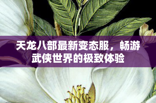 天龙八部最新变态服,畅游武侠世界的极致体验 天龙八部最新变态服,畅游武侠世界的极致体验