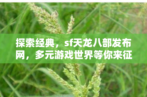 探索经典,sf天龙八部发布网,多元游戏世界等你来征服 探索经典,sf天龙八部发布网,多元游戏世界等你来征服