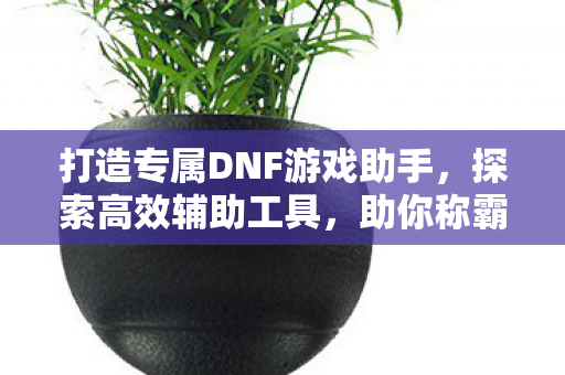 打造专属DNF游戏助手图片