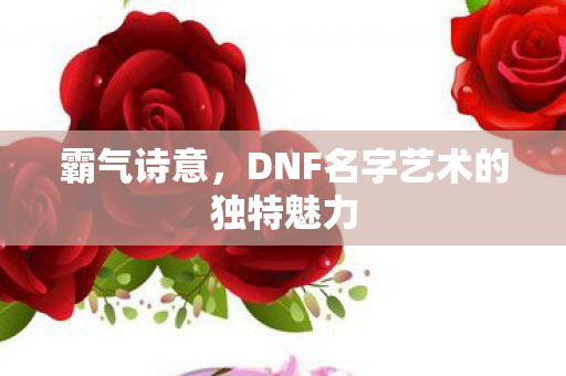 DNF名字艺术的独特魅力图片