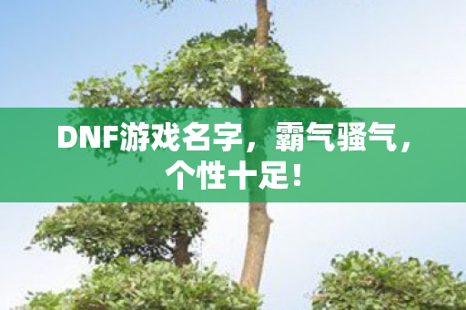 DNF游戏名字图片