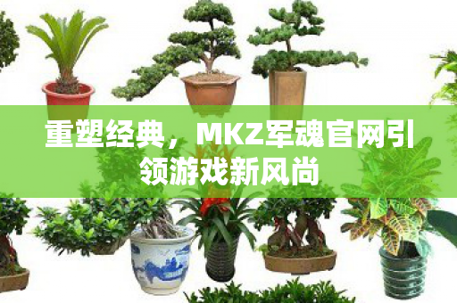 重塑经典,MKZ军魂官网引领游戏新风尚 重塑经典,MKZ军魂官网引领游戏新风尚