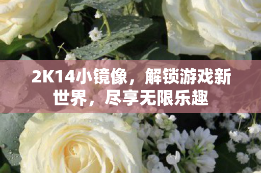 2K14小镜像图片