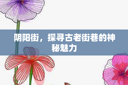 阴阳街,探寻古老街巷的神秘魅力 阴阳街,探寻古老街巷的神秘魅力