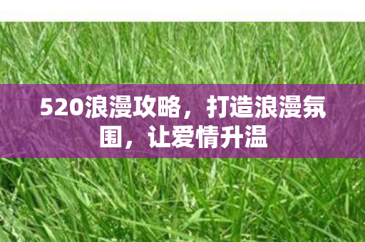 520浪漫攻略,打造浪漫氛围,让爱情升温 520浪漫攻略,打造浪漫氛围,让爱情升温