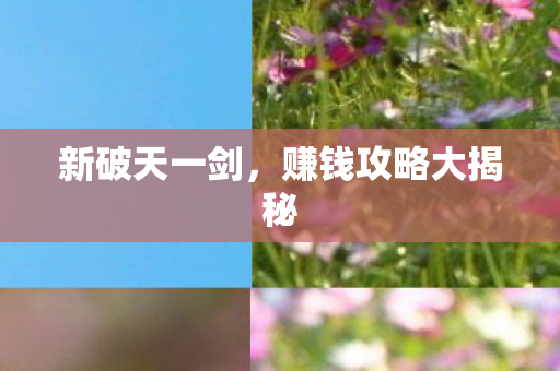 赚钱攻略大揭秘图片