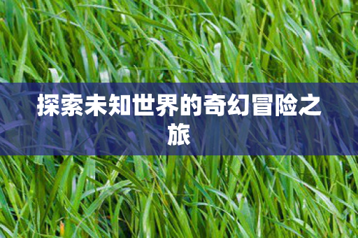 探索未知世界的奇幻冒险之旅图片